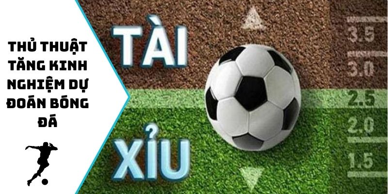 Thủ thuật tăng kinh nghiệm dự đoán bóng đá